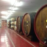 azienda vinicola sicurezza