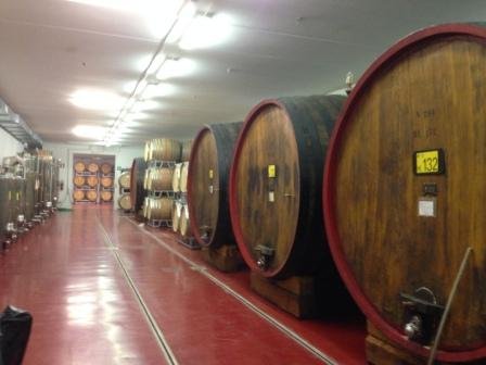 azienda vinicola sicurezza